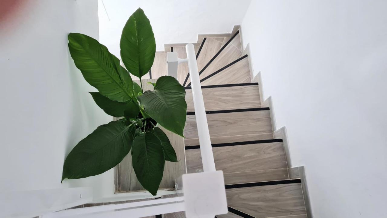 شقة Apartamento Jameo Punta Mujeres المظهر الخارجي الصورة